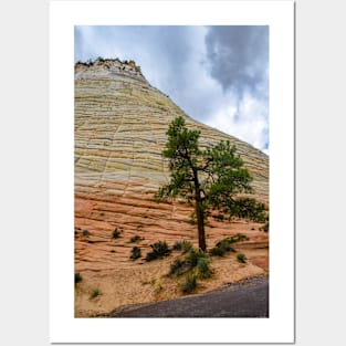 Checkerboard Mesa, Zion National Park, Utah Posters and Art